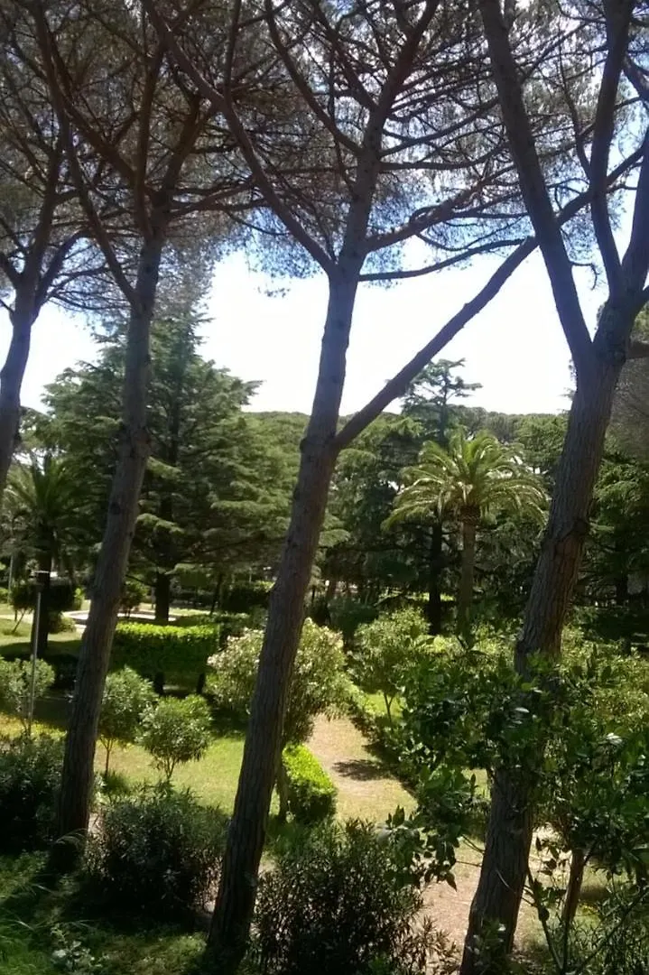 A 20 Mt Dal Mare Con Ombrellone E Sdraio In Spiaggia Castiglioncello